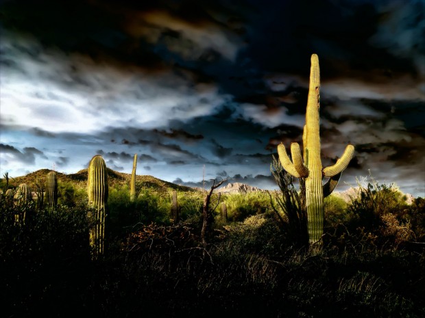 monsoon photography